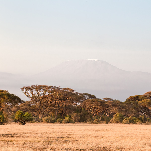 Kilimanjaro Africa