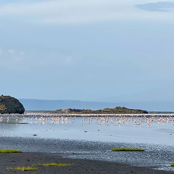 Lake Natron