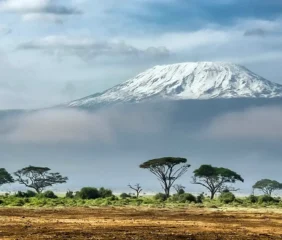 Kilimanjaro