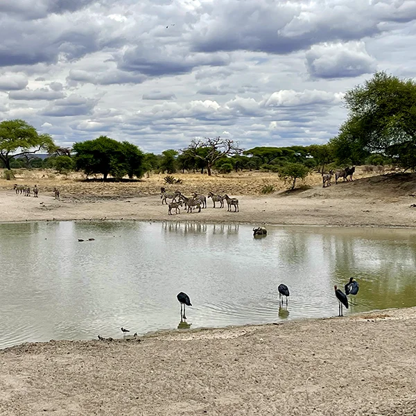 Tarangire Lake